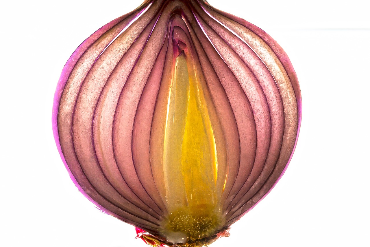 image of an onion